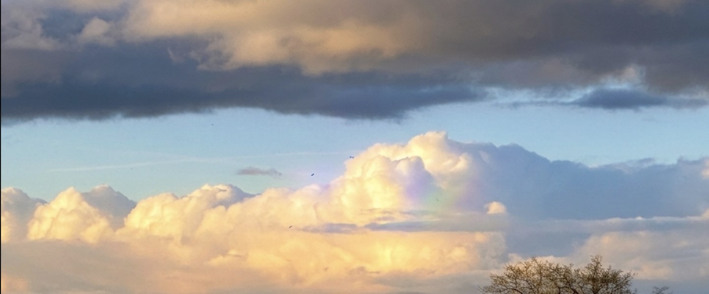 A bank of evening cloud lit from behind, with a band of spectral colour caught in its edge