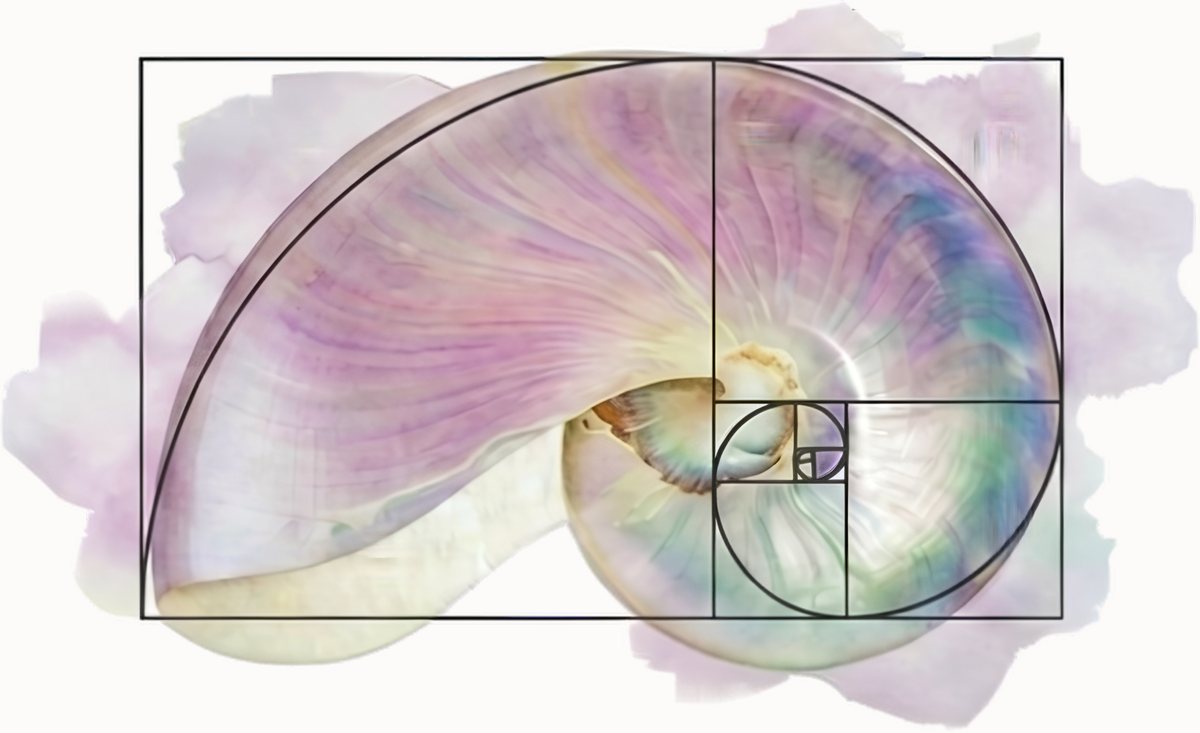A golden spiral drawn over a mother-of-pearl nautilus wash